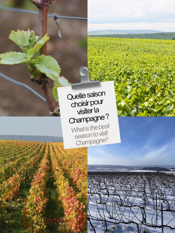 Quelle saison choisir pour venir nous voir ?