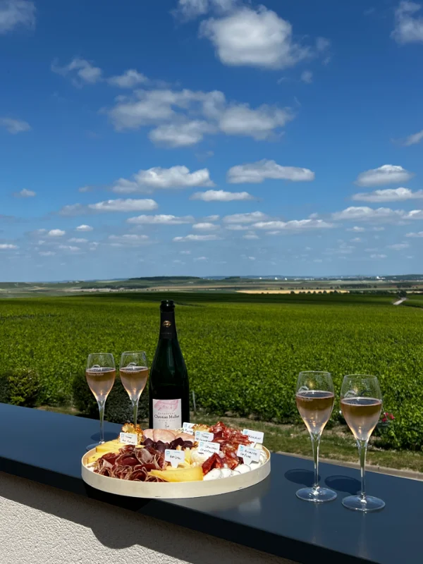 Bienvenue sur la terrasse du Champagne Christian Muller : votre rooftop avec vue sur les vignes et la cathédrale de Reims