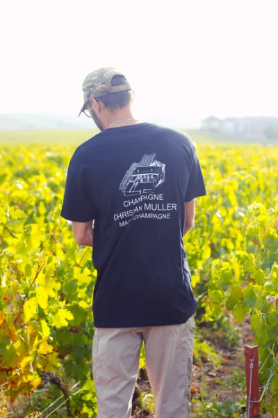Vendanges au Champagne Christian Muller à Mailly-Champagne