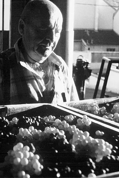 Harvest under the supervision of Christian Muller