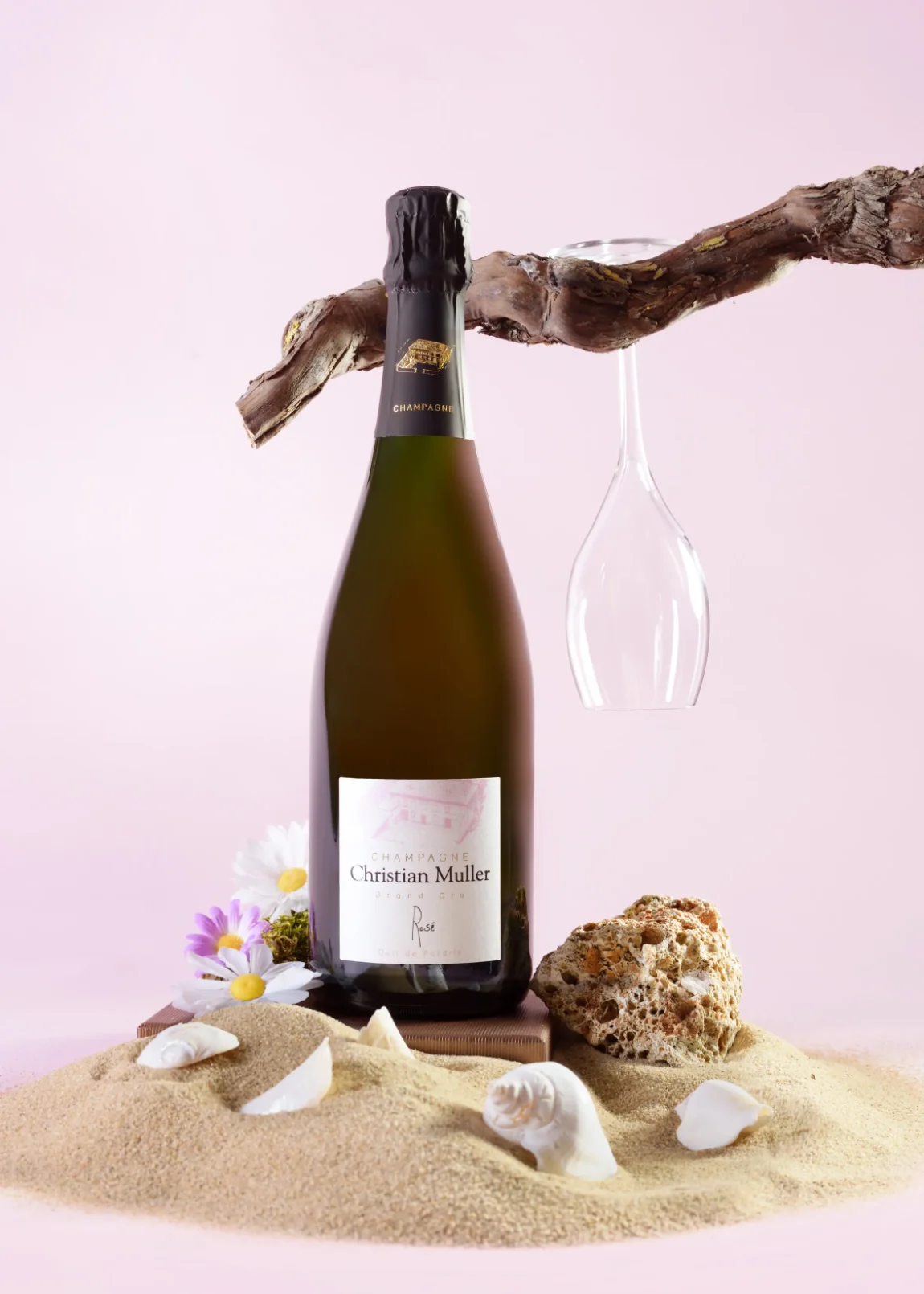 Champagne Rosé