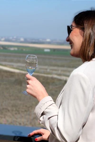 Bar à champagne en terrasse au Champagne Christian Muller près de Reims