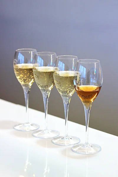 Visite du domaine Champagne Christian Muller à Mailly-Champagne