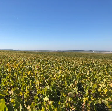 Les Côtes